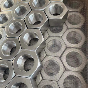 Hex Nuts